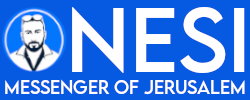 Nesi | Official Website
